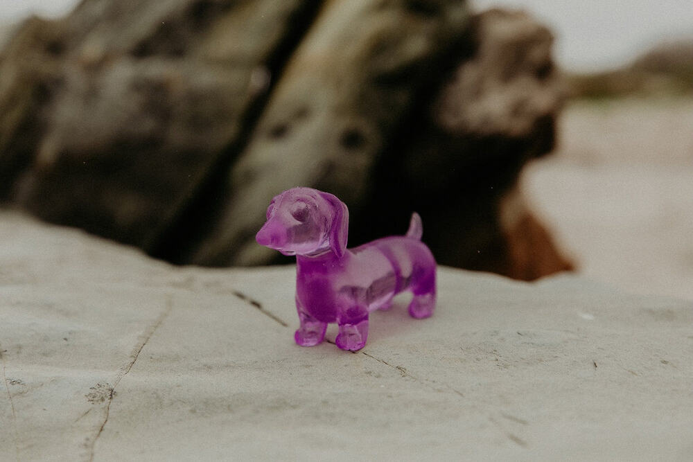 Smoosho’s Super Squeeze Dachshund
